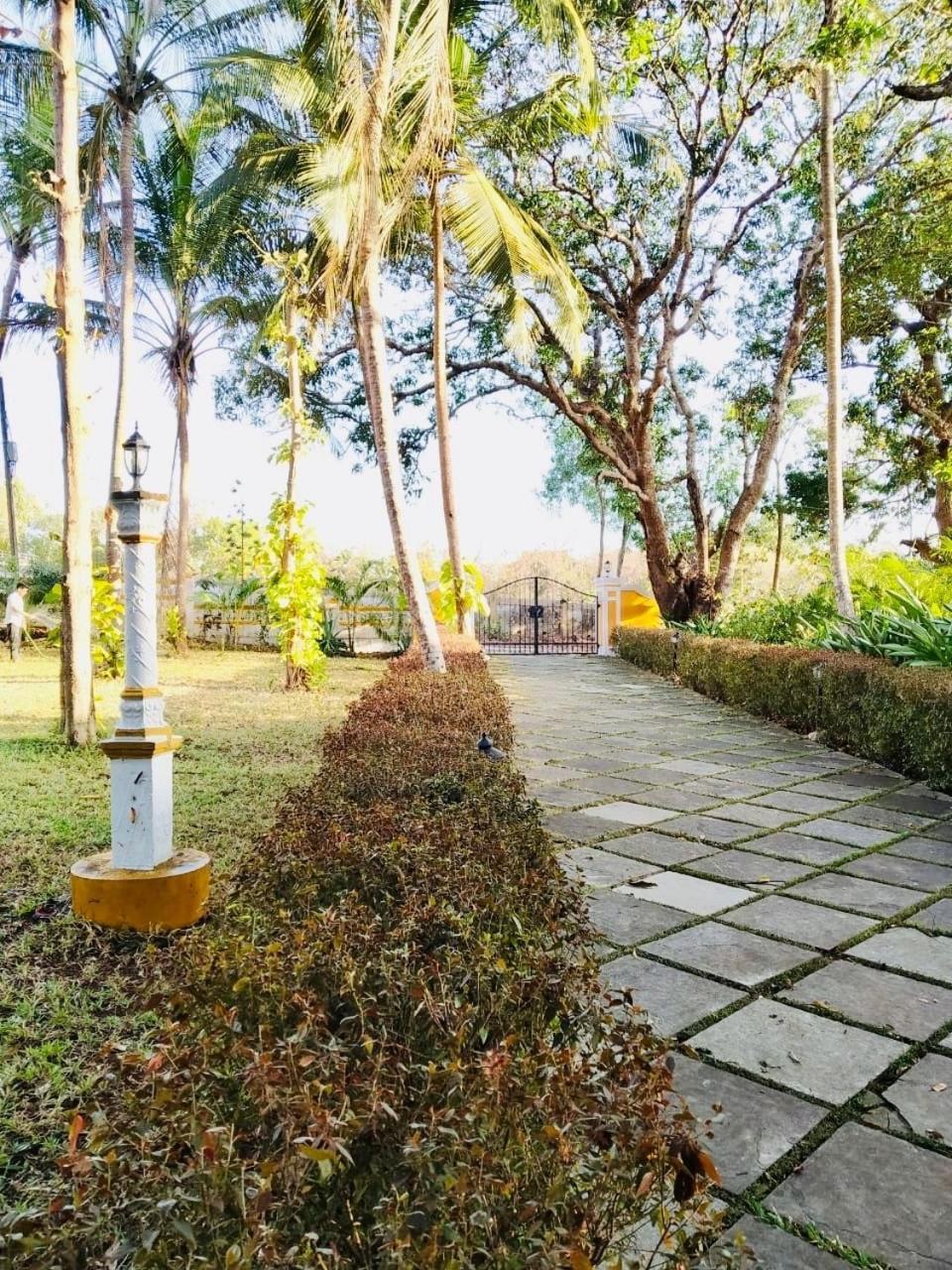 The Island Pool Villa Panaji Bagian luar foto